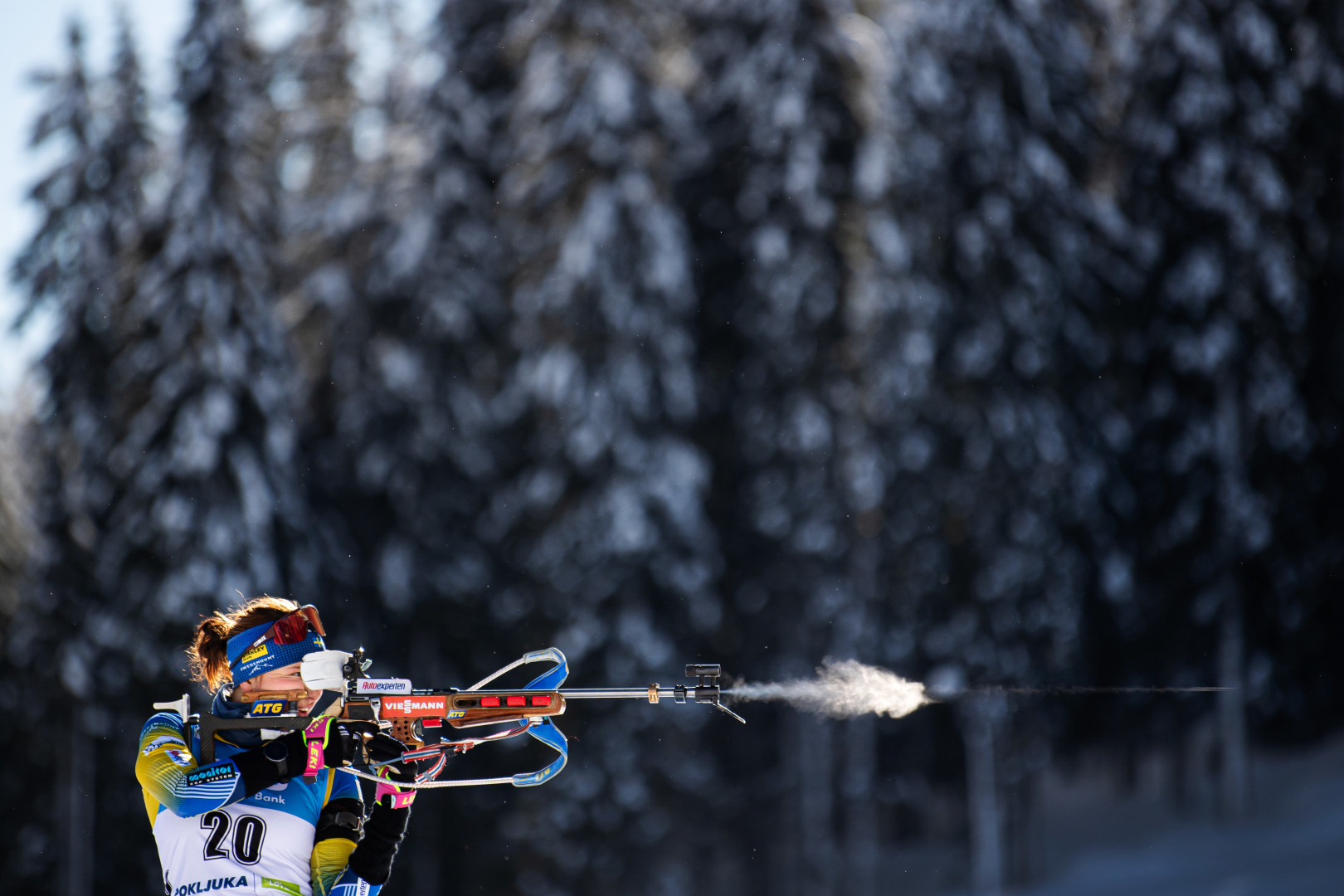 Female Biathlon contestant firing riffle in winter sports contest.