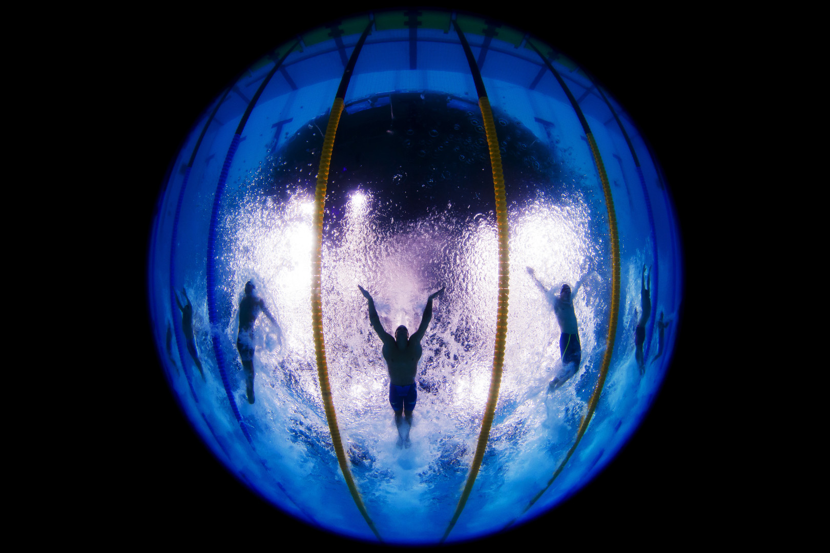 Fisheye photograph of swimmers in lanes during butterfly race.  