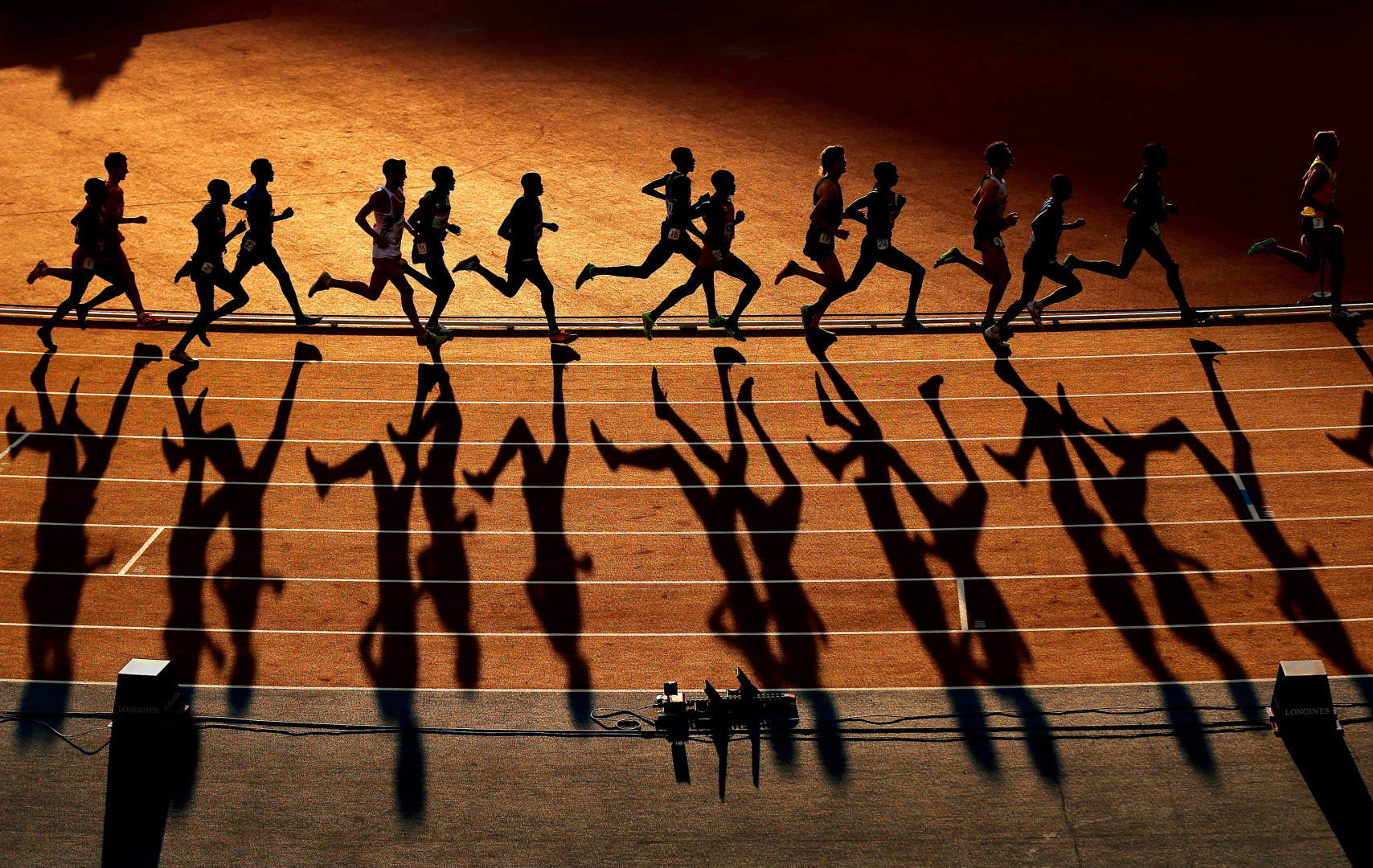 Shadows of track runners in sunset light as the run long distance around the track.