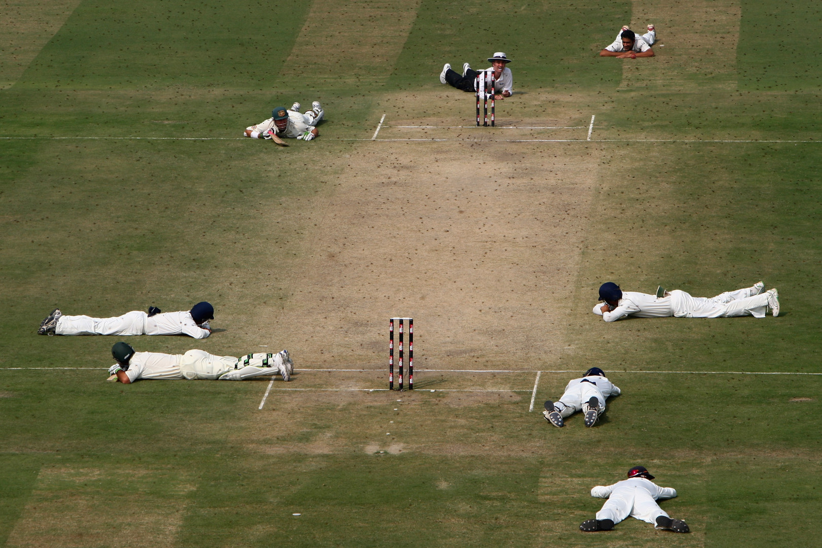 Cricket players and umpire lying on the pitch to avoid an invasion of bees.