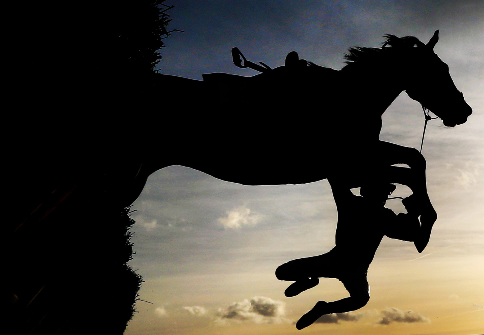 Silhouette of jockey falling off of horse on big jump.