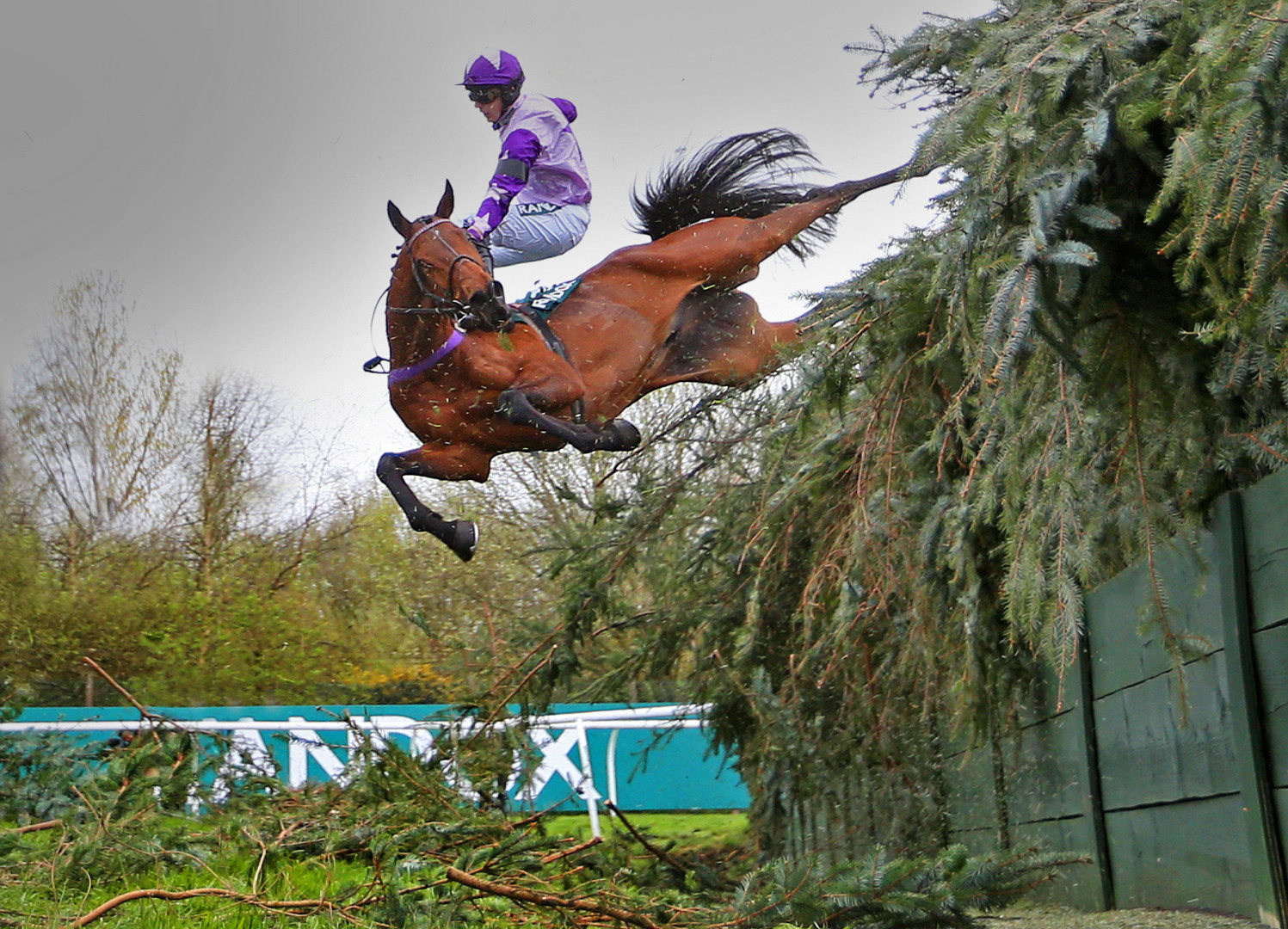 Jockey and horse falling over Becher's Brook at the Grand National.