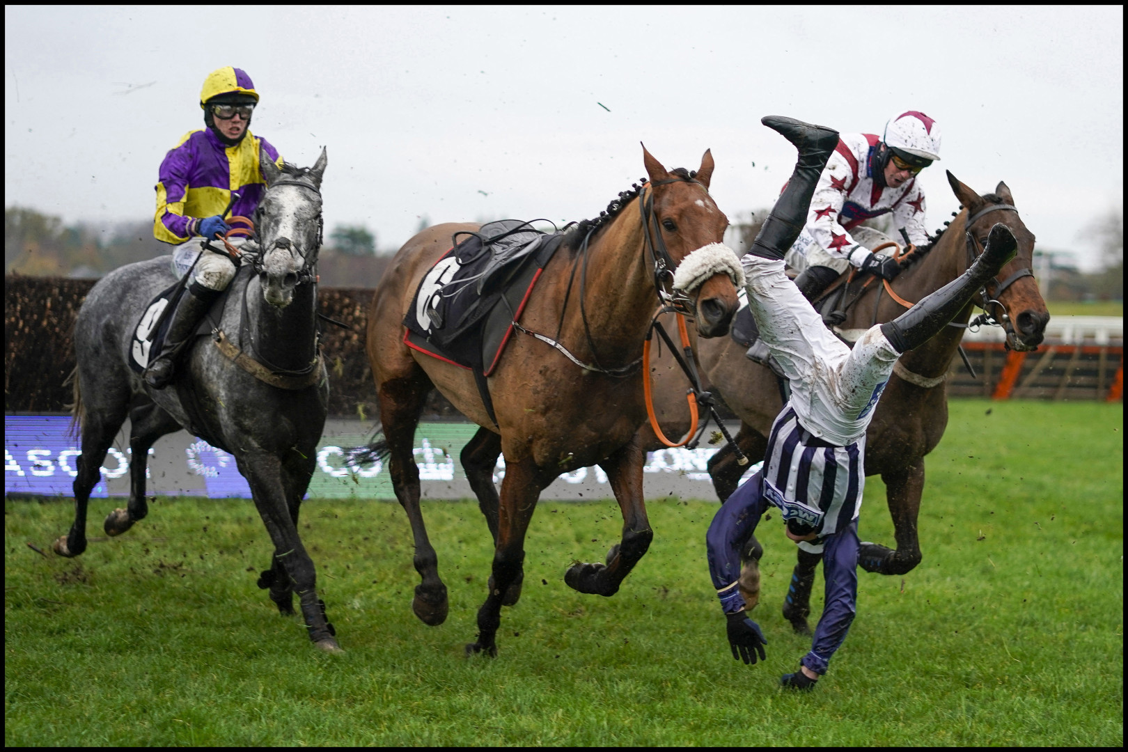 Jockey falling head first off his horse surrounded by two other riders.