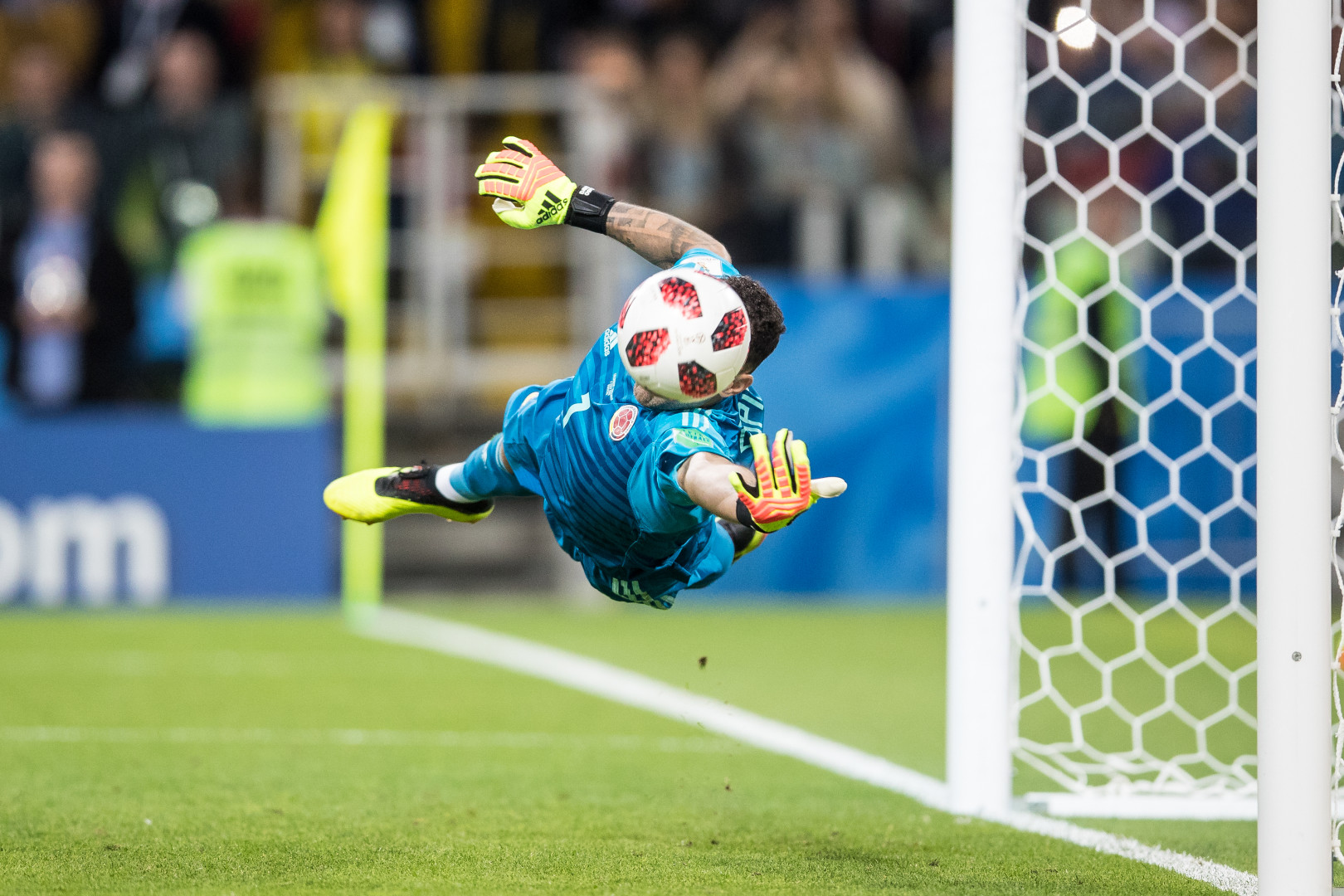 David Ospina's head blocked from view as he saves a shot.