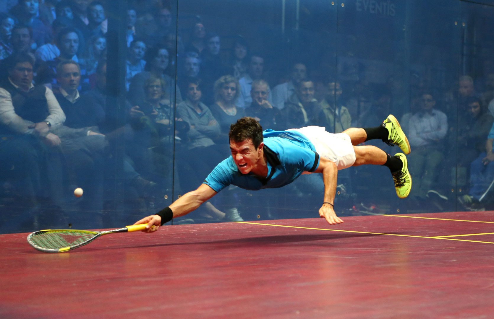 Miguel Angel Rodriguez diving on the squash court to reach ball with his racquet.