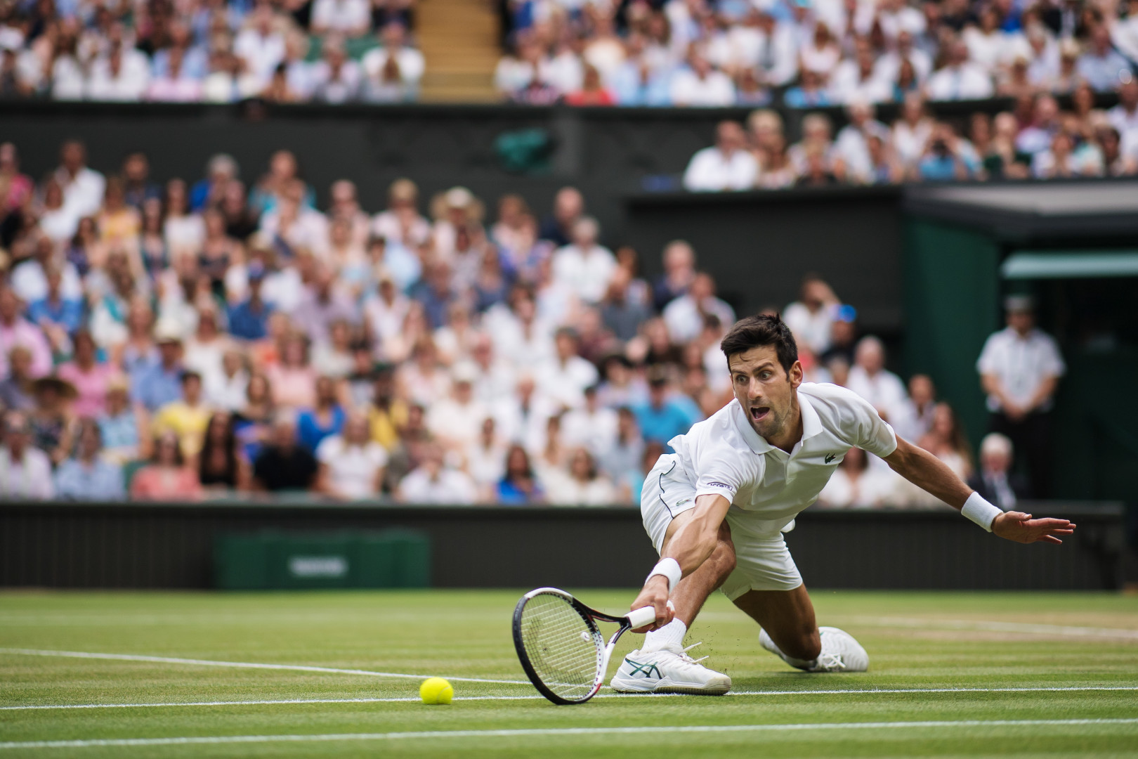 Novak Djokovic failing to stop a tennis ball hitting the court.