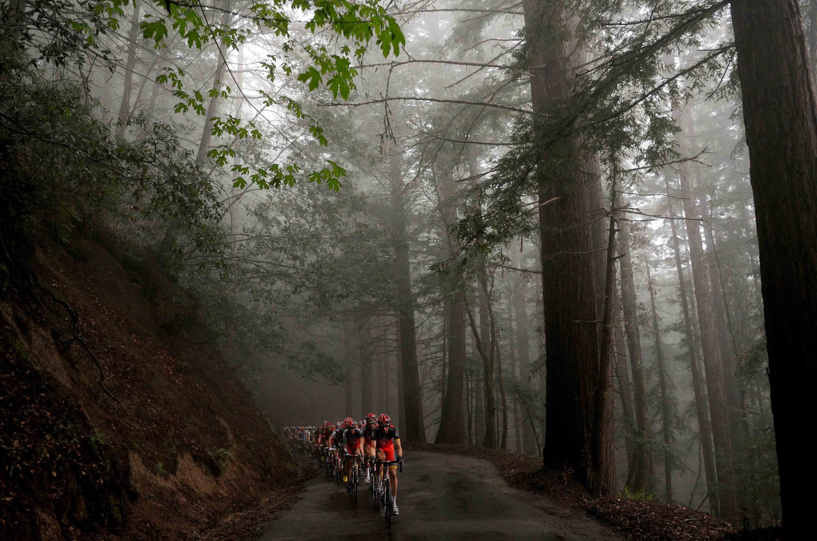 Trail of cyclists riding through dark, misty forest.