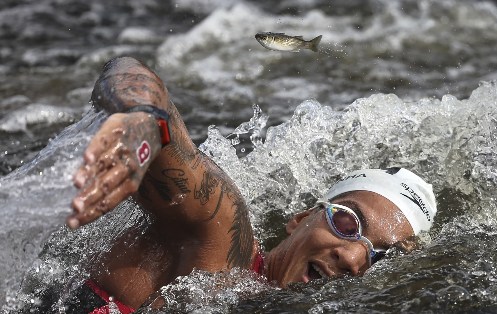 Fish jumps out of water as Triathlete swims through water.