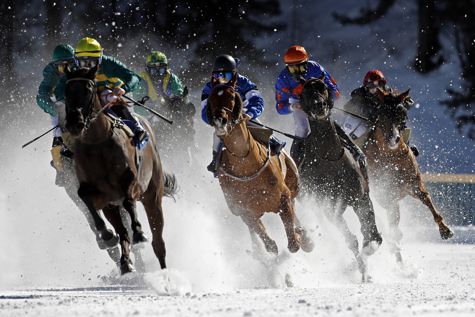 Horses and jockeys racing through the snowy White Turf track in St Moritz, Switzerland.