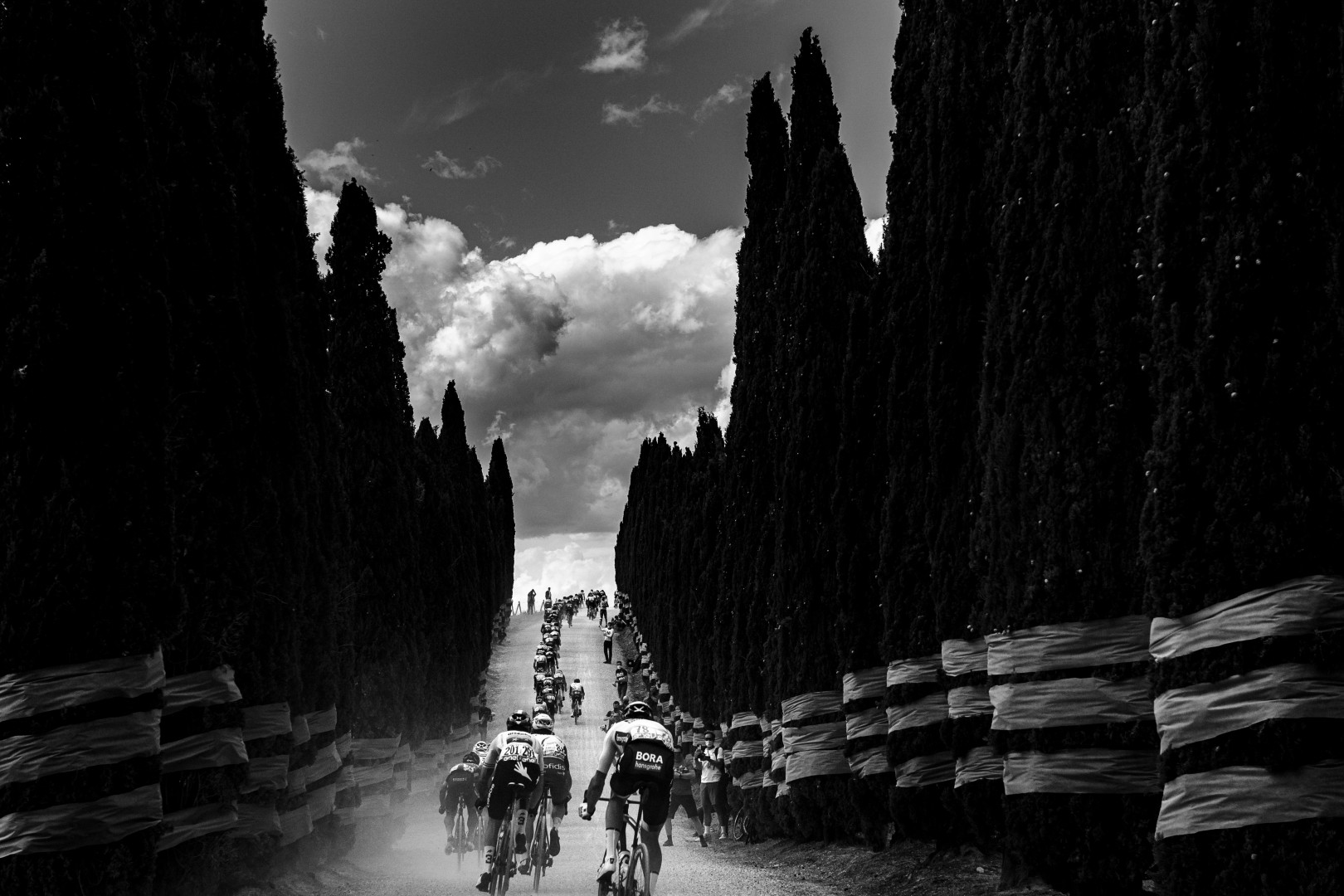 Black & White photograph of cyclist riding up hill during the Giro D'Italia.