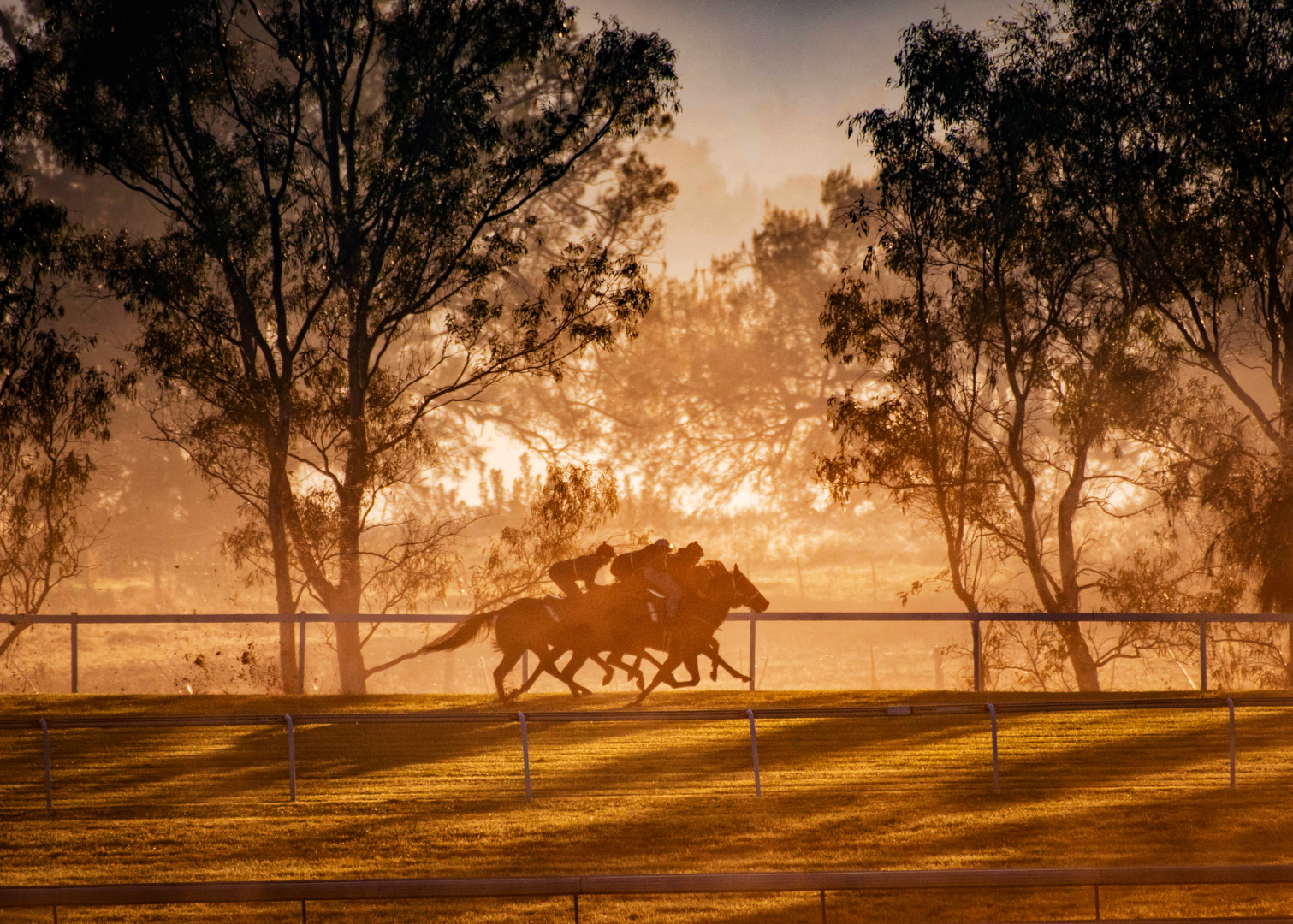 Three jockeys racing around the track as golden hour hazy rays beam through the trees.