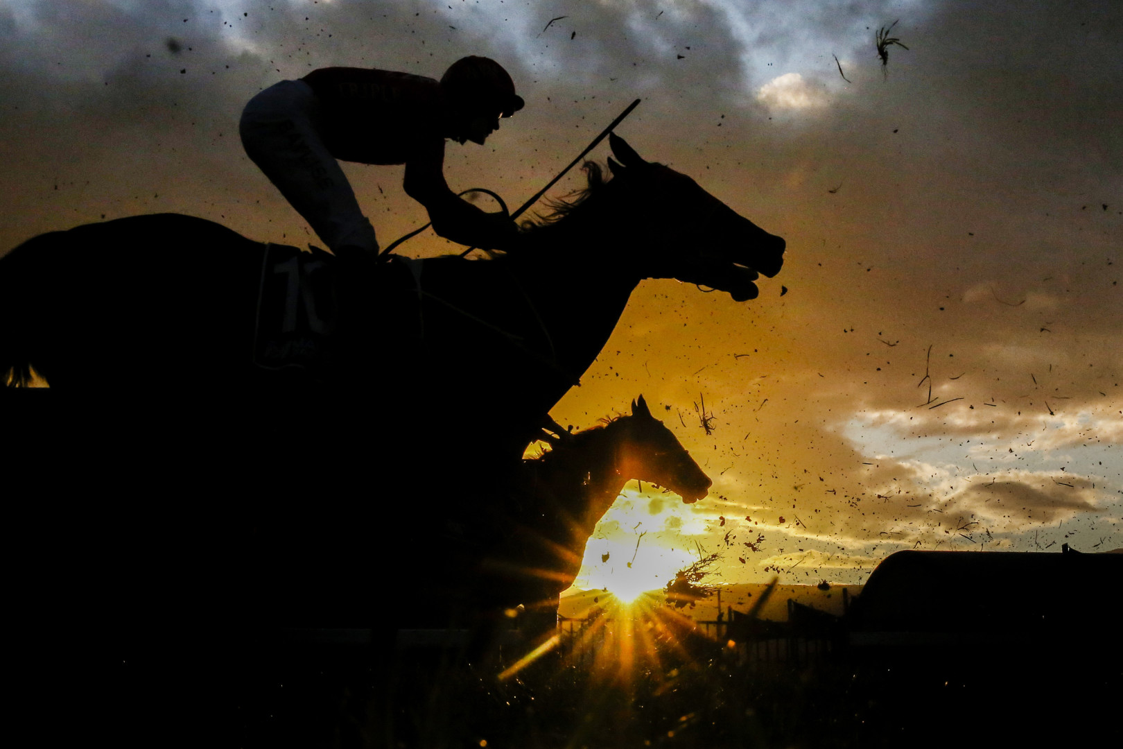 Jockey's racing at sunset as grass and dirt are flung through the air.