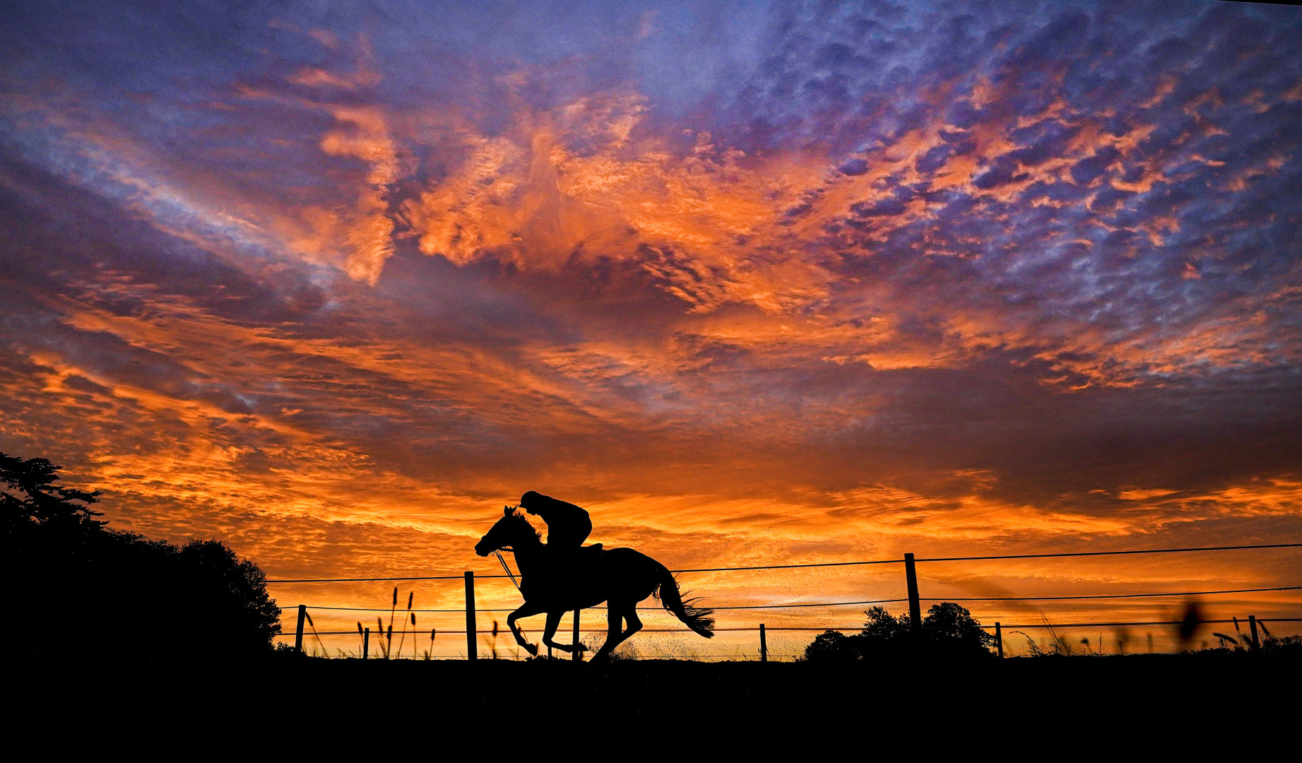 Silhouette of jockey riding their horse at sunset.