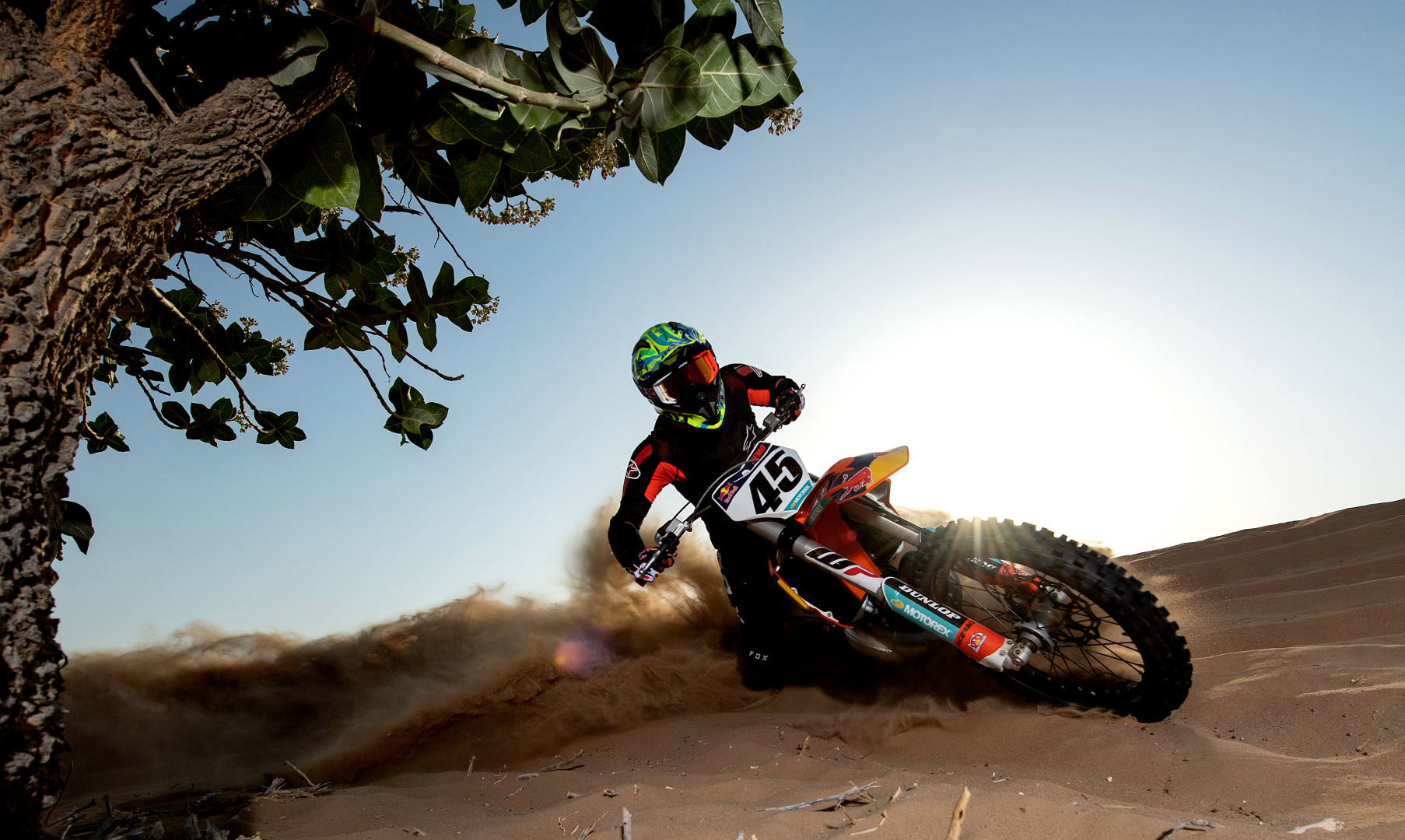 Motor cyclist skidding underneath a tree through sand dunes.